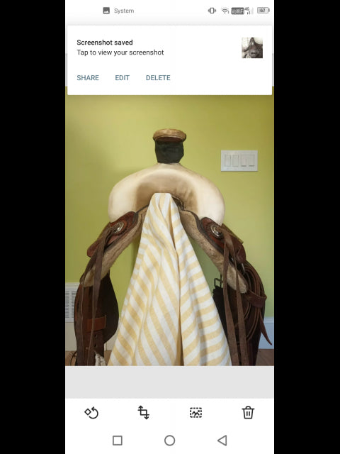 circle t Circle T FQHB 16" Ranch/work saddle