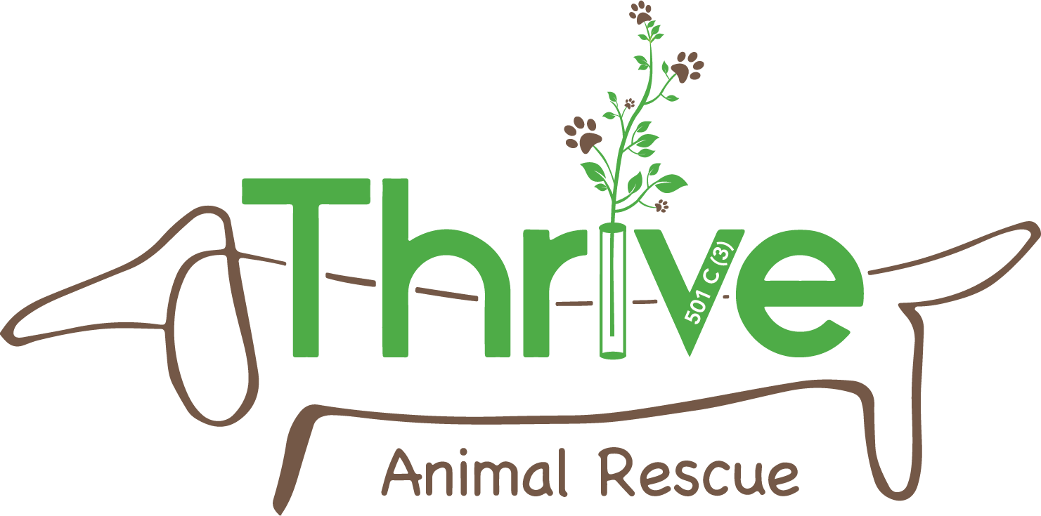 Thrive Animal Rescue Sweat Pants - New