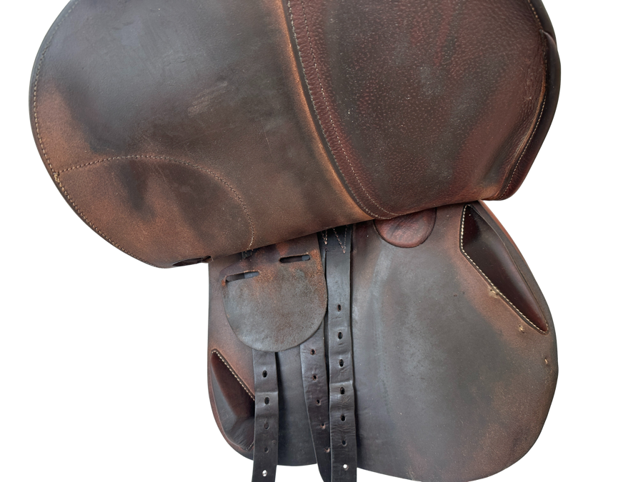 ANTARES ANTARES EVOLUTION 17" 2AB 2018 (4)