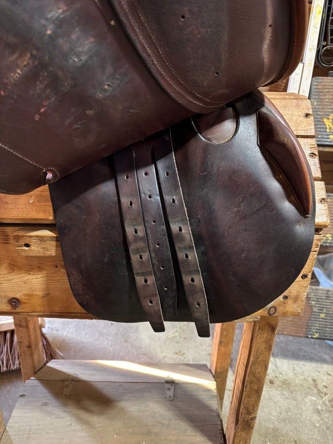 ANTARES 2002 Antares (4)