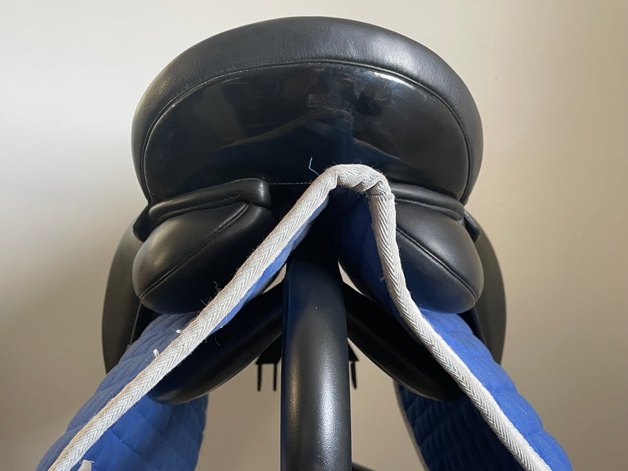 STUBBEN 17” Stubben D Virginia 1894 - 2018 - 32cm wide (6)