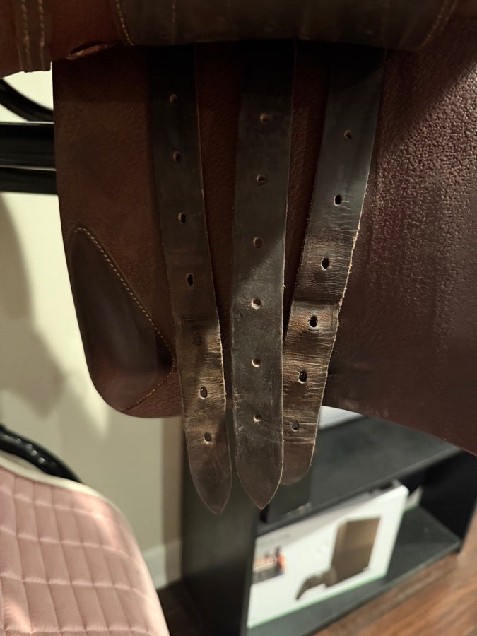 DEVOUCOUX 2019 18” Devoucoux Biarritz Lab Jump Saddle (5)