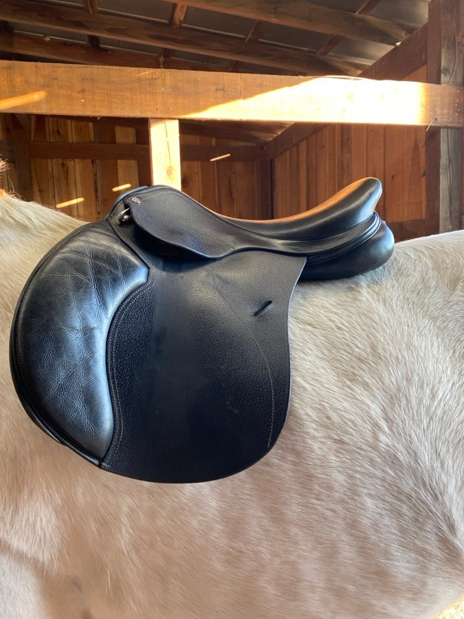 Other 17 Inch Cavaletti Collection AP/Jump (4)