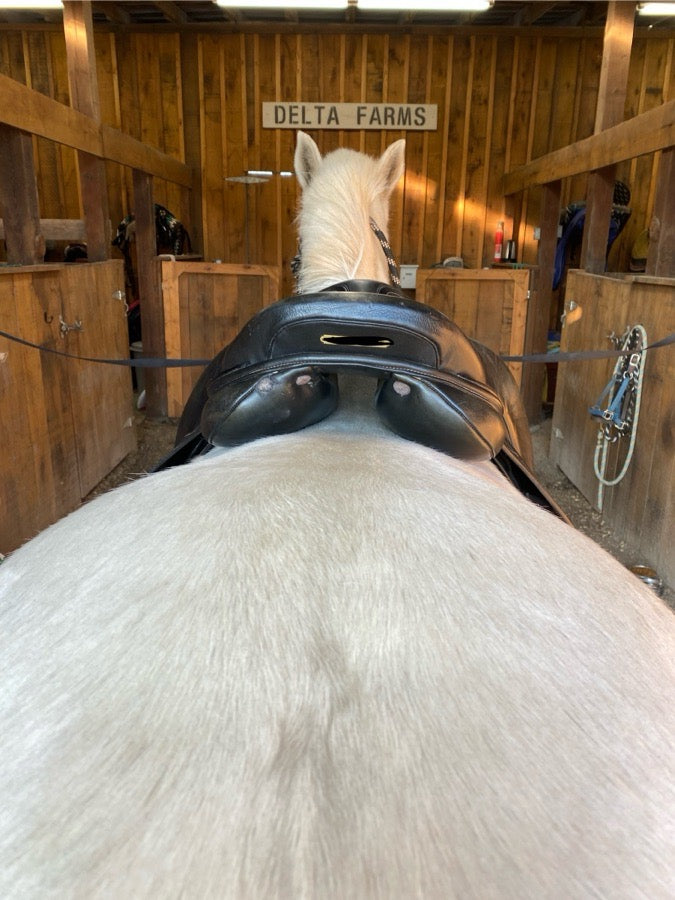 Other 17 Inch Cavaletti Collection AP/Jump (3)