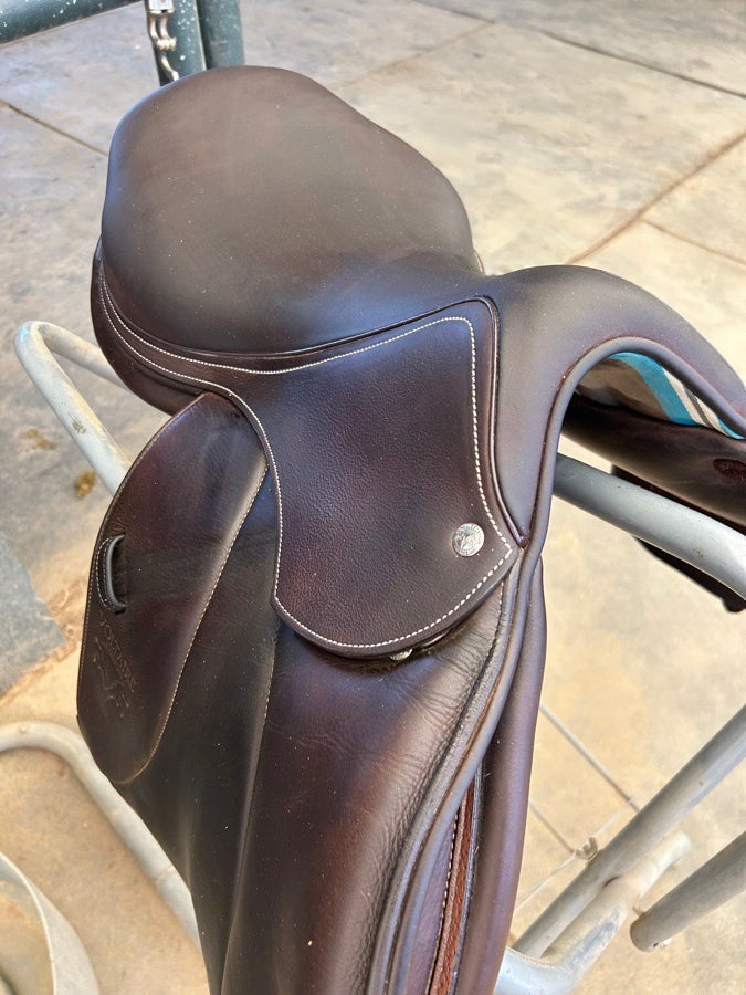 VOLTAIRE 2022 Voltaire palm beach 17.5 3A FIN panel (2)