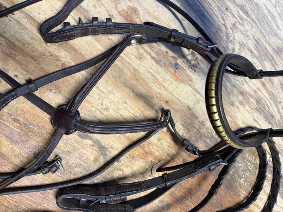 Other Oversized bridle and reins (2)