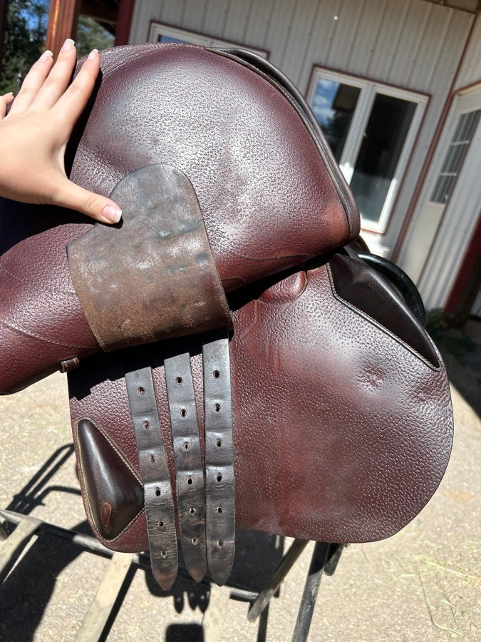 DEVOUCOUX 17.5 Devocoux Birratiz S (*Price Negotiable*) (6)