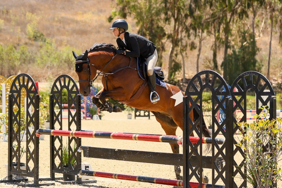 GRAND PRIX Grand Prix Show Coat (4)