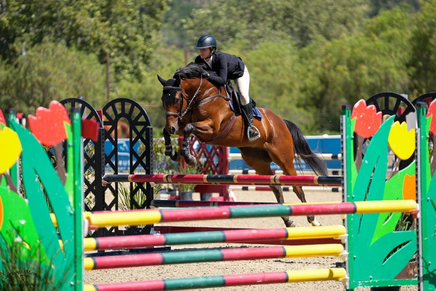 GRAND PRIX Grand Prix Show Coat (3)