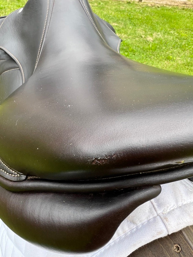 VOLTAIRE 18” Voltaire Palm Beach 2AR (6)