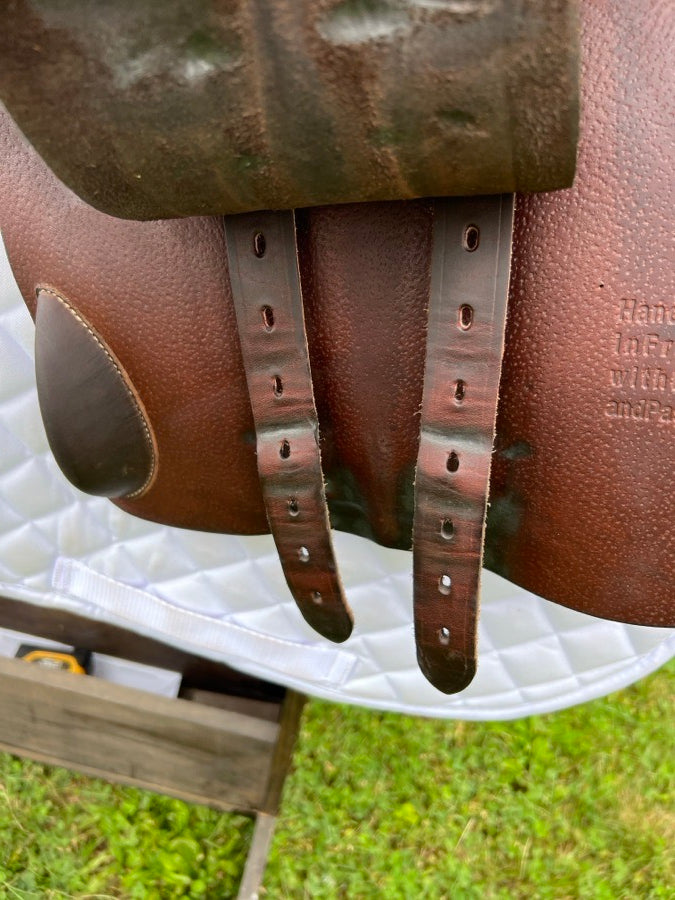 VOLTAIRE 18” Voltaire Palm Beach 2AR (4)