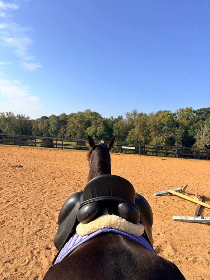 DK DK Dressage 17 (2)