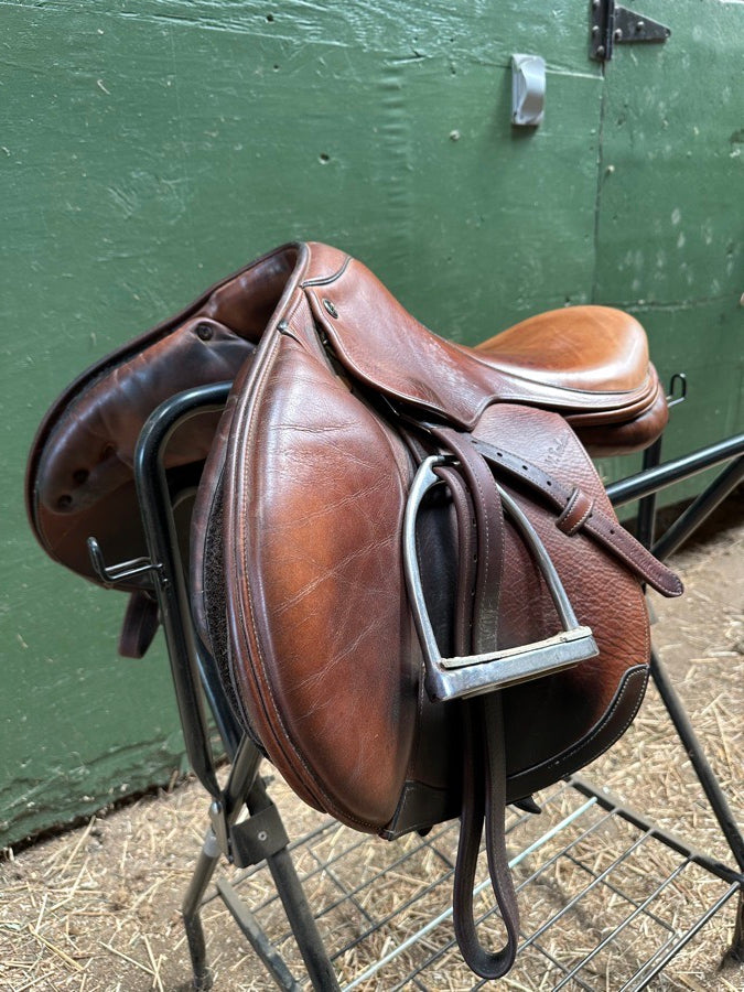 M.TOULOUSE 16.5” M. Toulouse Close Contact (2)