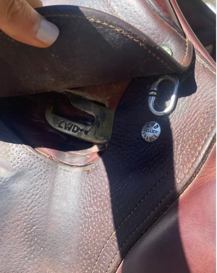 CWD 17” Cwd se02 2c (3)