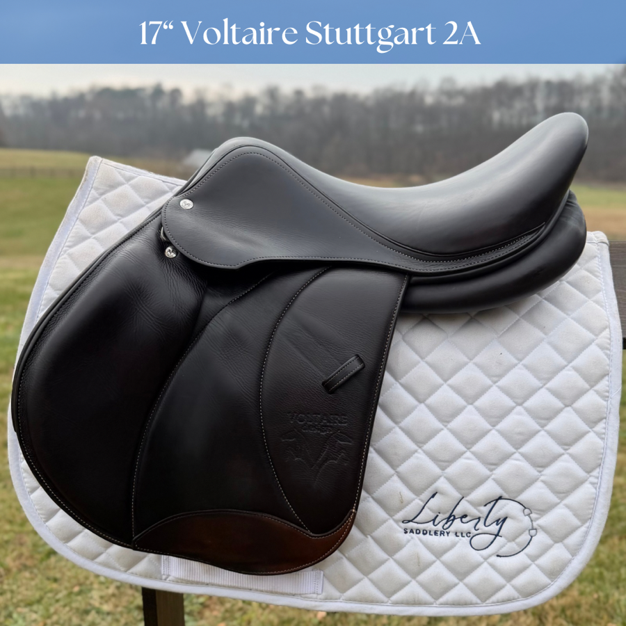 VOLTAIRE 17β Voltaire Stuttgart 2A