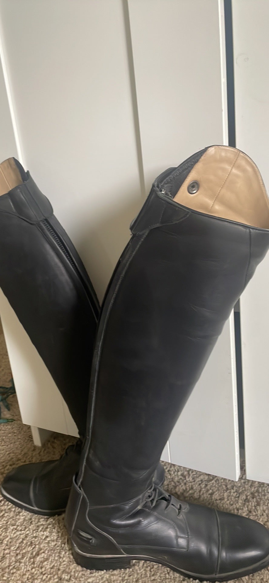 ARIAT DIVINO Ariat Field Boots (2)