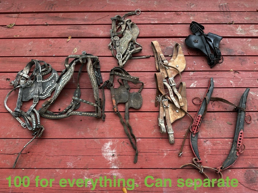Other Driving headstalls bundle