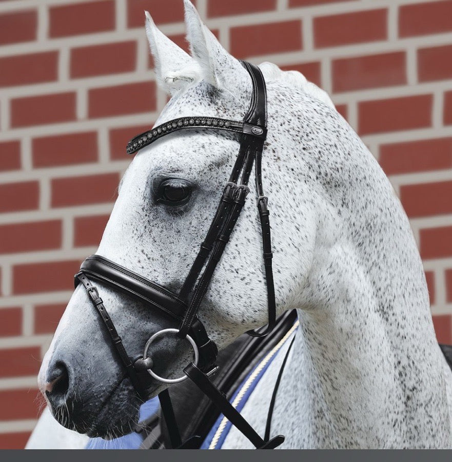 PASSIER Passier Fortuna Bridle (2)