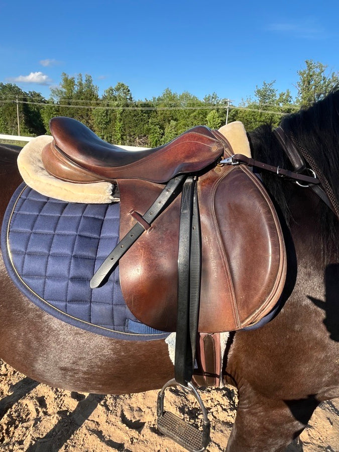 Other Cliff Barnsby saddle