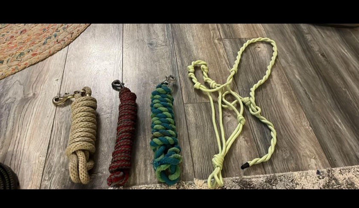 Lead ropes and halter