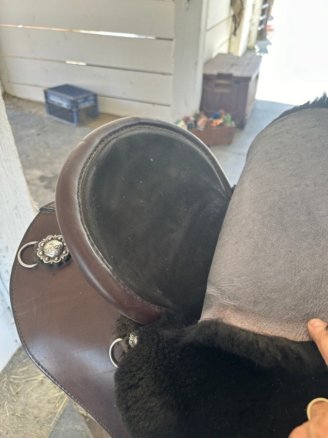 Other Specialized Saddle - International model (4)