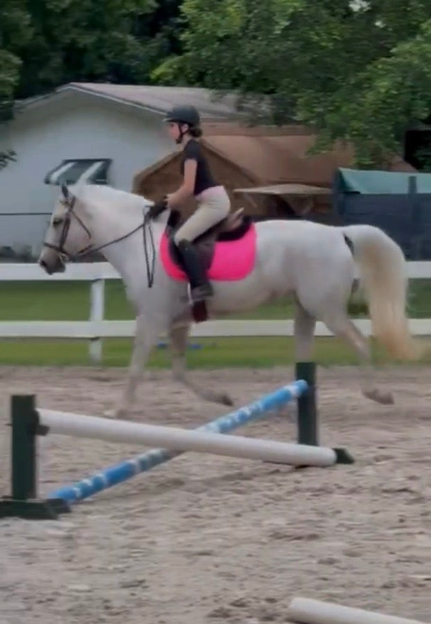 TUFFRIDER Hot pink saddle pad (2)