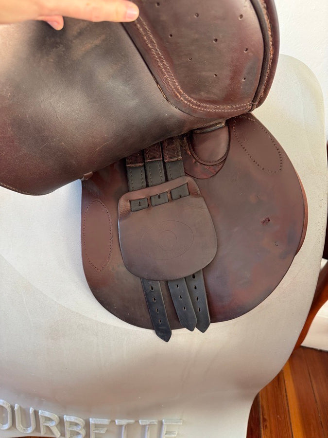 TAD COFFIN 17.5” 2012 Tad Coffin TC2 Performance Saddle - SmartRide Tech! (6)