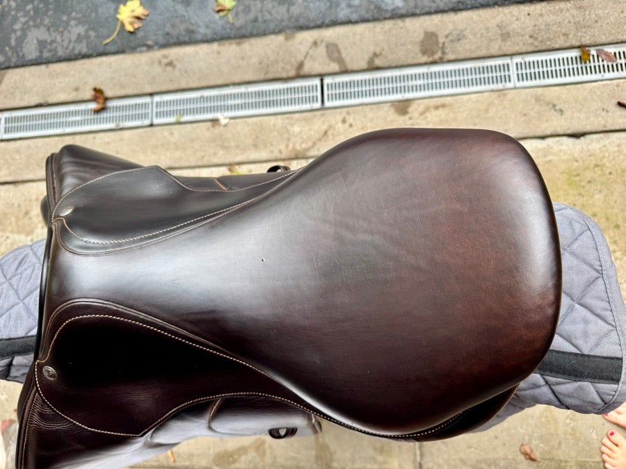 VOLTAIRE 2021 Voltaire Palm Beach 17” (6)