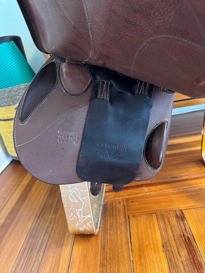 VOLTAIRE MINT! 16.5” Voltaire Essential Jump Saddle - Adjustable Gullet - 2023 - RARE! (3)