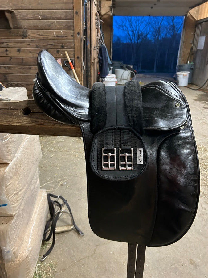 Other Dressage saddle (6)