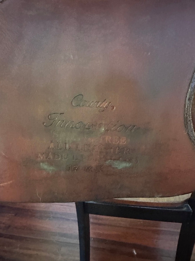 COUNTY 17” County Innovation MN Tree (4)