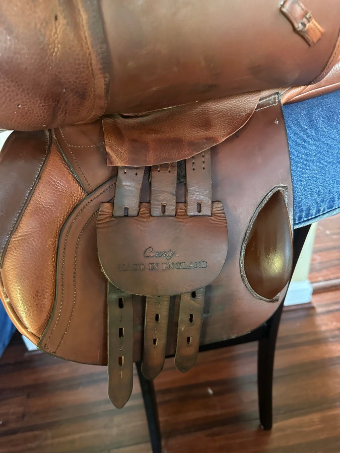 COUNTY 17” County Innovation MN Tree (7)