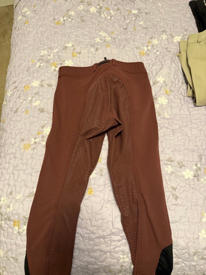 Dover Dalton Breeches