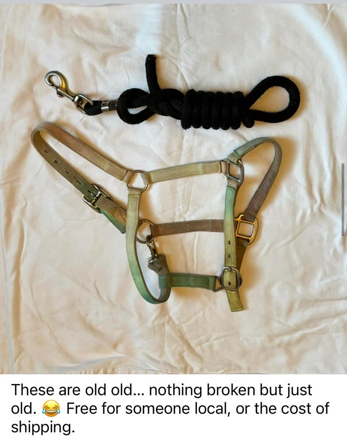 Free old halter and lead rope