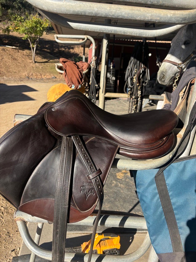 VOLTAIRE 2018 Voltaire (2)