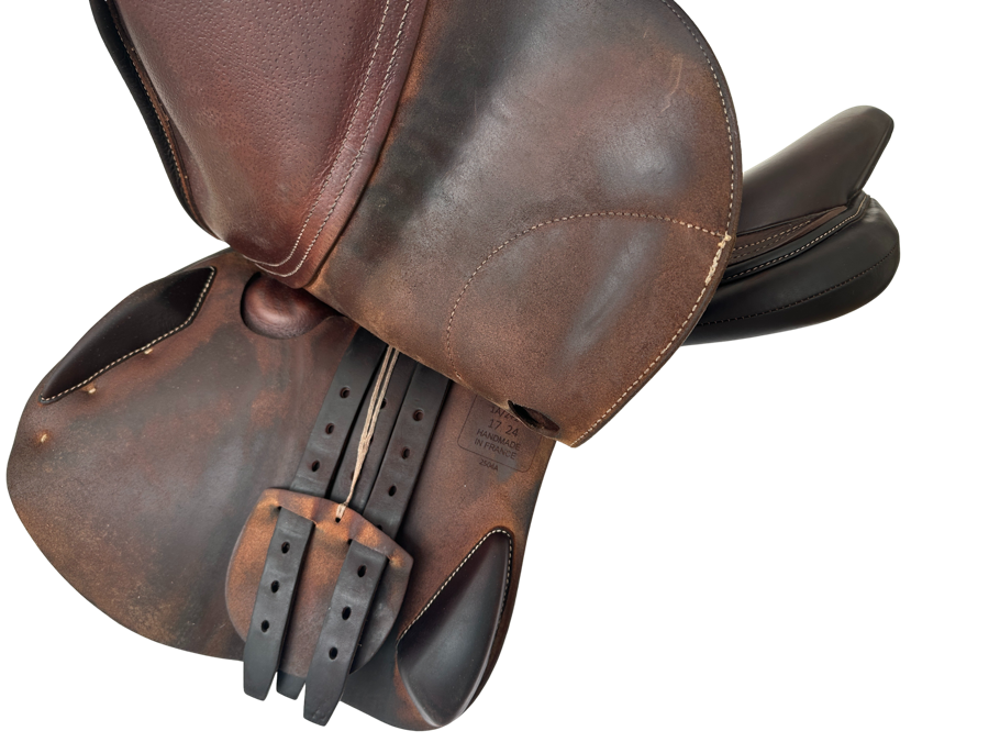ARABIAN SADDLE COMPANY ANTARES CONNEXION 17” 1A 2022 (4)