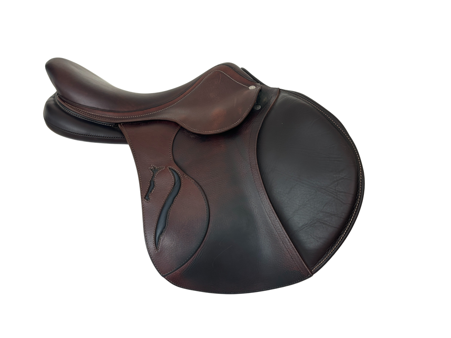 ARABIAN SADDLE COMPANY ANTARES CONNEXION 17” 1A 2022 (2)