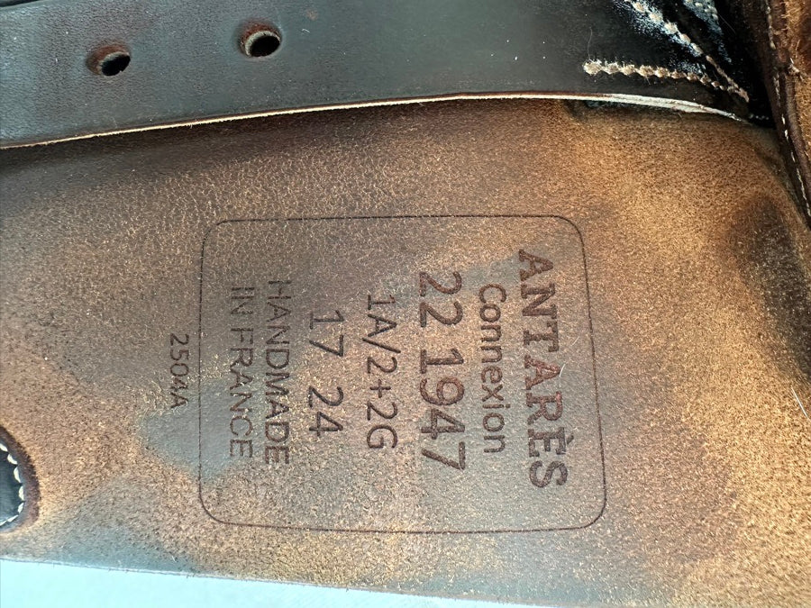ARABIAN SADDLE COMPANY ANTARES CONNEXION 17” 1A 2022 (8)