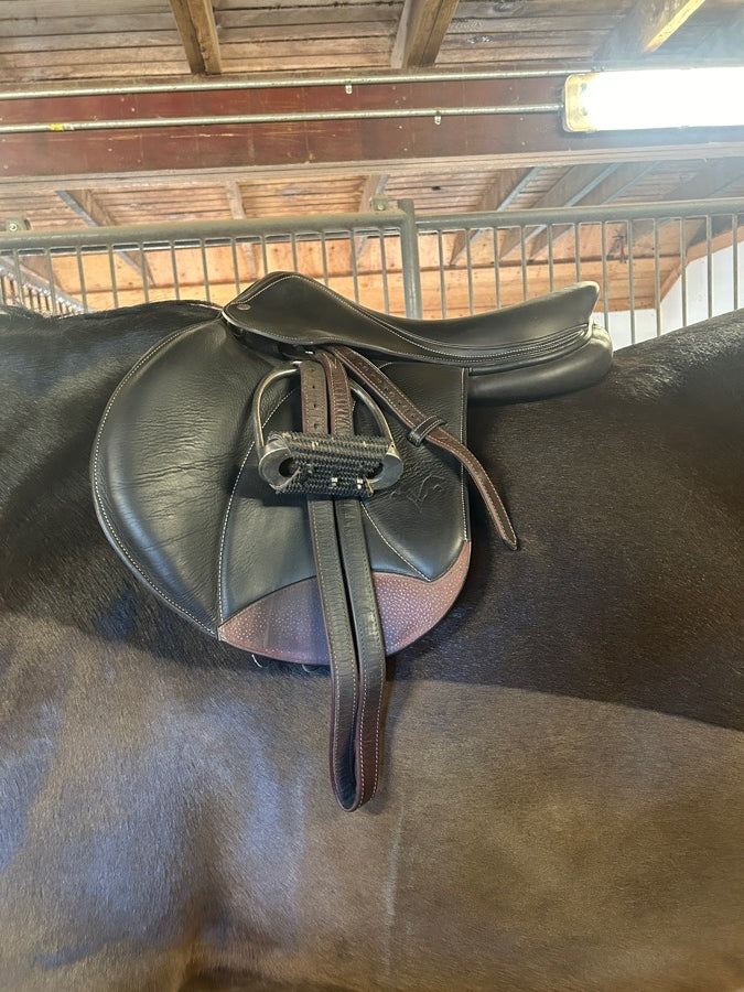 VOLTAIRE Voltaire Palm Beach