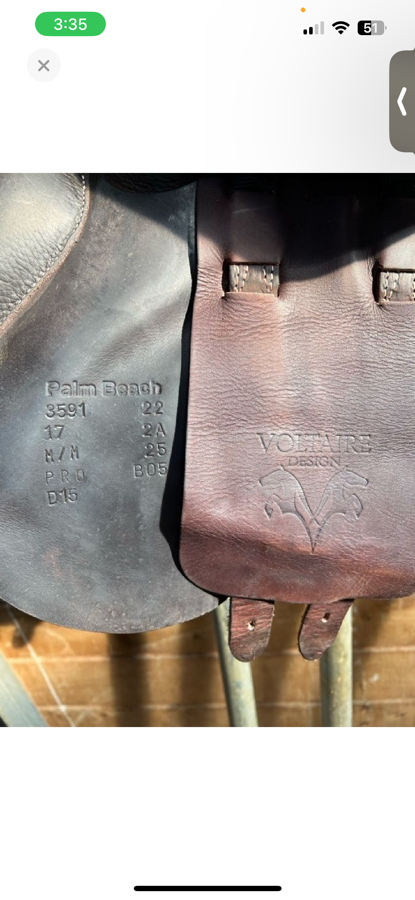 VOLTAIRE Voltaire Palm Beach (3)