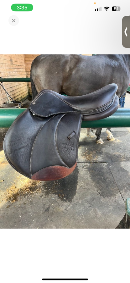 VOLTAIRE Voltaire Palm Beach (4)