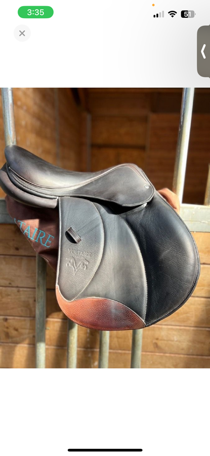 VOLTAIRE Voltaire Palm Beach (2)