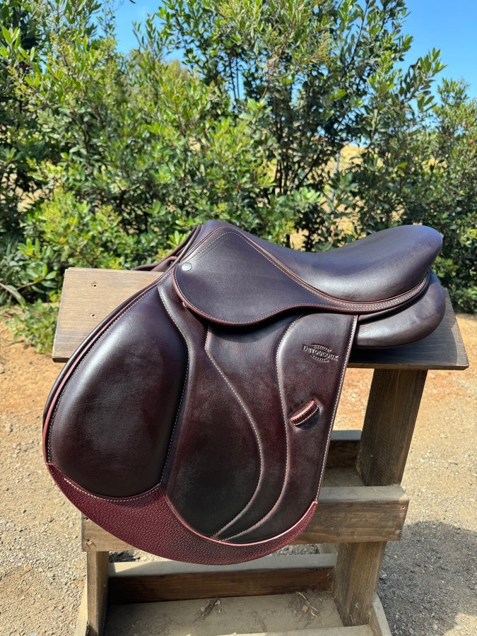 DEVOUCOUX 16’ Devoucoux Biarritz S Full Buffalo Saddle 2024 (5)