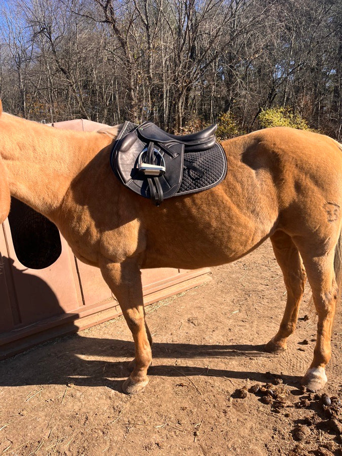 HDR - HENRI DE RIVEL Henri de Rivel close contact saddle (5)