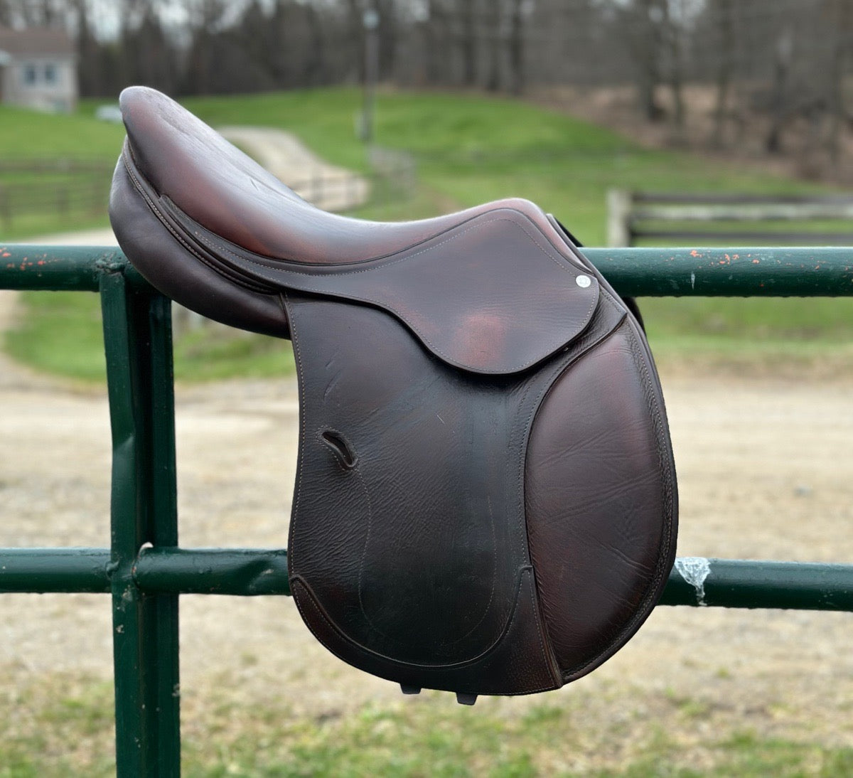 ANTARES 2018 Antares Evolution Saddle 17 (2)