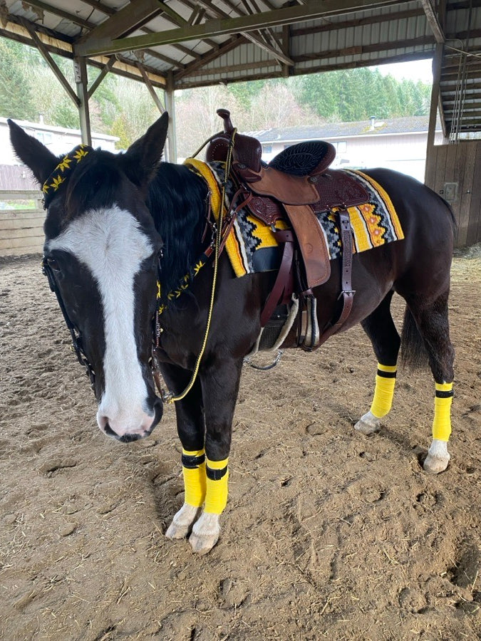 ARIAT Custom Yellow Show Pad (3)