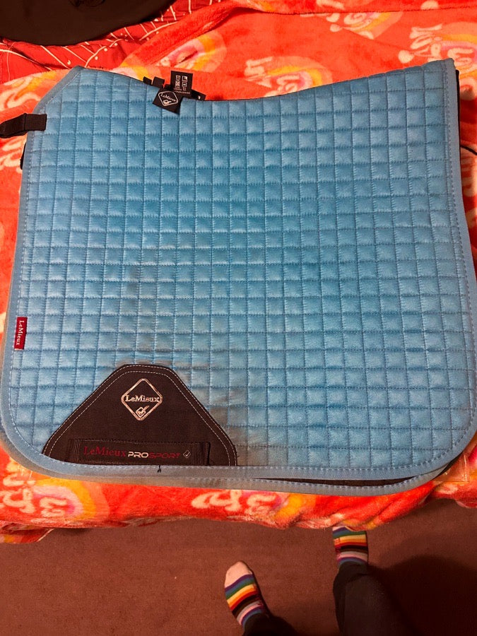 LEMIEUX Lemieux Teal Dressage pad (2)