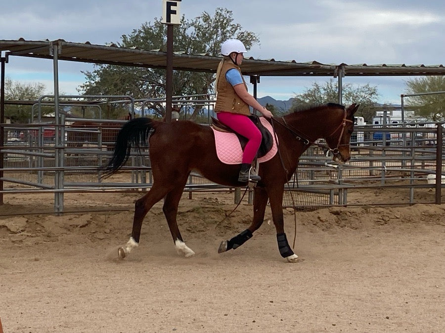 Hot pink breeches SANITY size medium