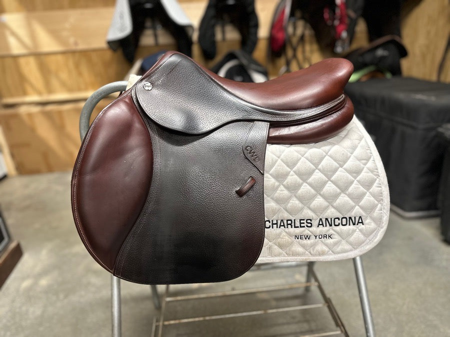 CWD 17.5 DEMO condition CWD (3)