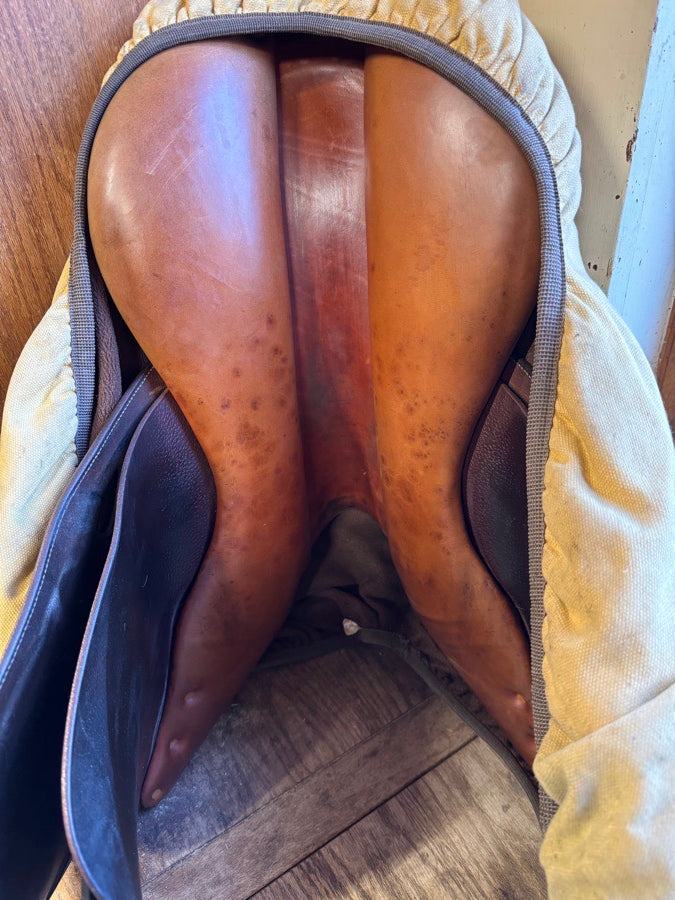 BUTET Butet Saddle (7)